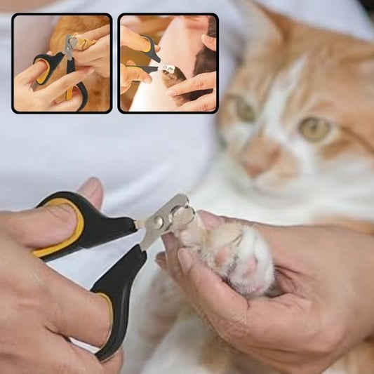 Coupe griffe pour chat