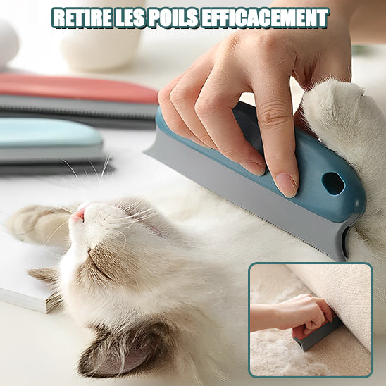 Brosse anti-poil