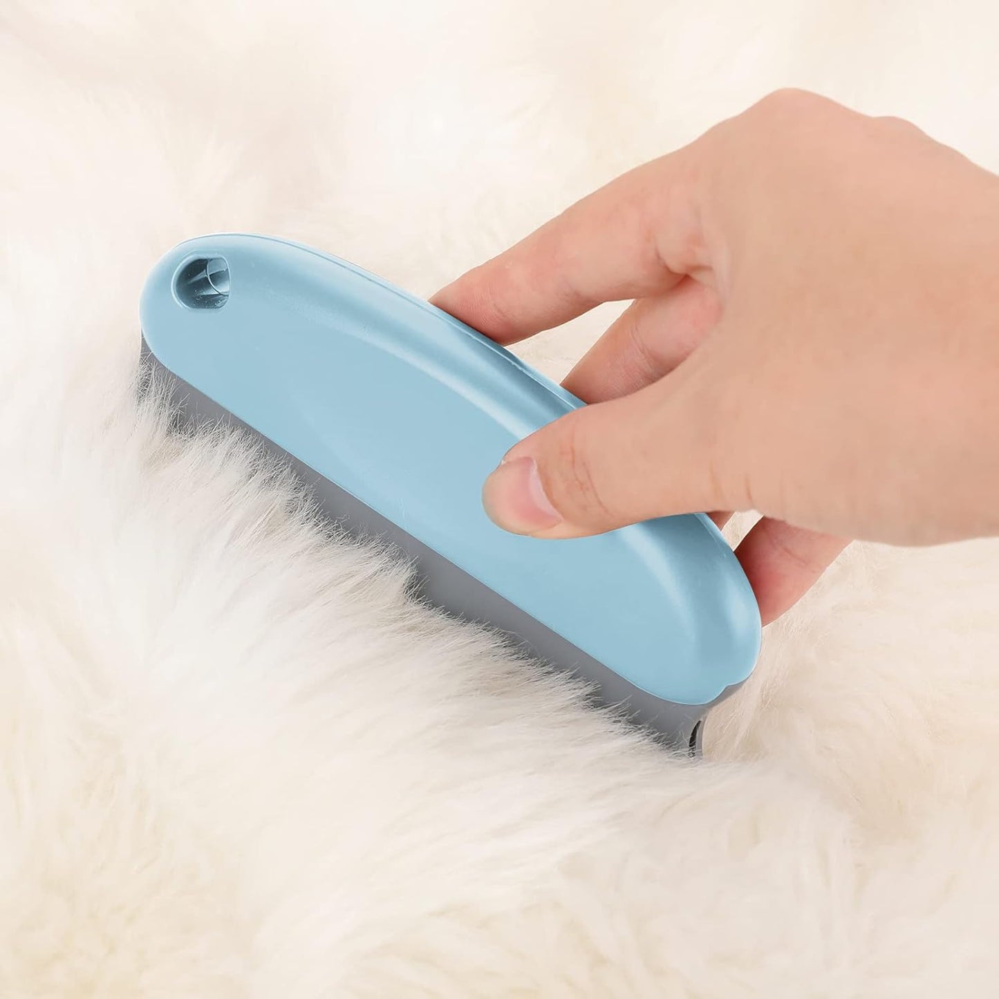 Brosse anti-poil