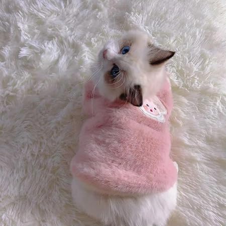 Chandail pour chat