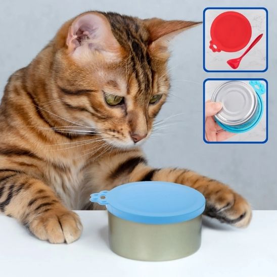 Couvercle conserve en silicone