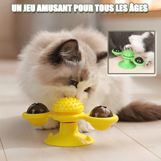 Jouet tourbillon pour chat