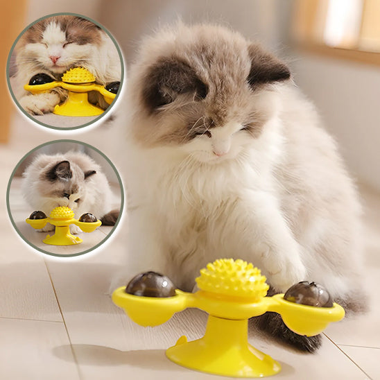 Jouet tourbillon pour chat