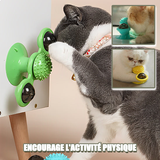 Jouet tourbillon pour chat