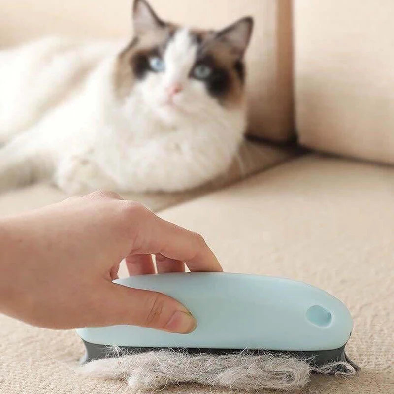 Brosse anti-poil
