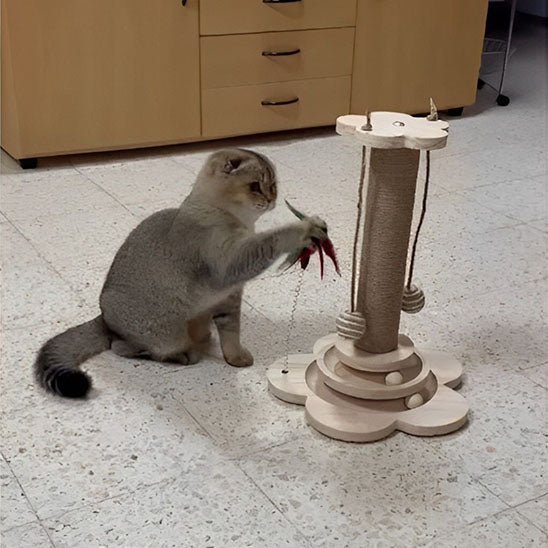 Arbre à chat en bois - Boutique Misha