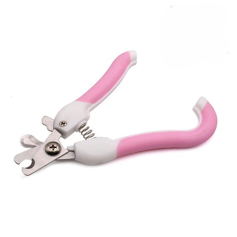Coupe - ongle Expressâą pour chat - Boutique Misha