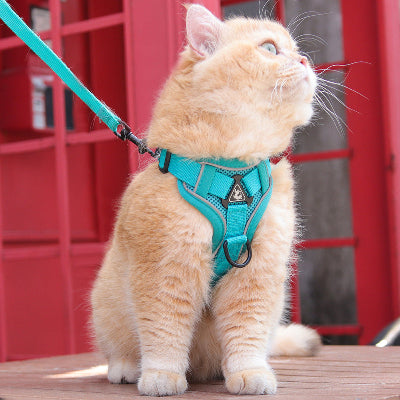 Harnais vert ajustable pour chat