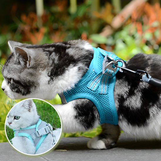 harnais_pour_chat_confortable