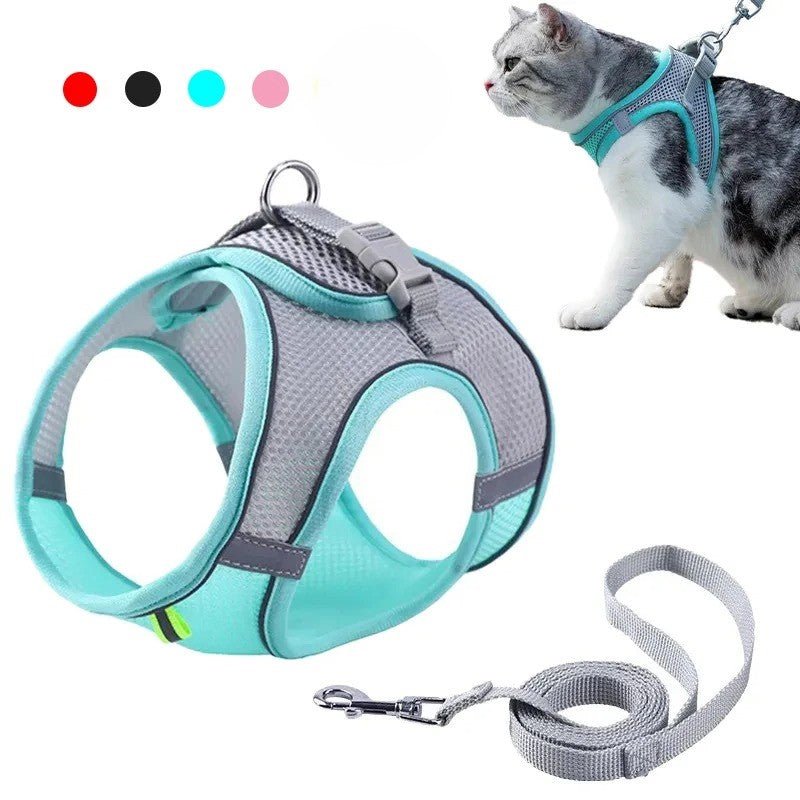 Harnais pour chat - Boutique Misha
