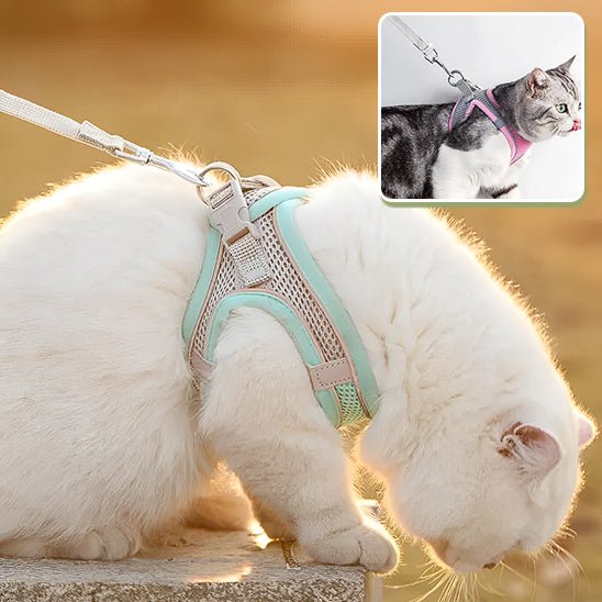 harnais_pour_chat_pratique