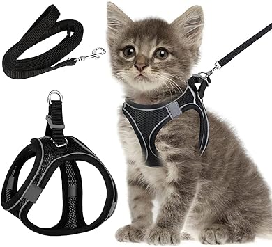 harnais_pour_chat_doux