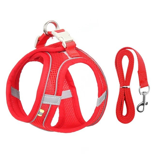 harnais_pour_chat_rouge