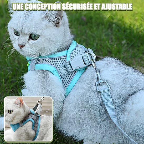 harnais_pour_chat_ajustable