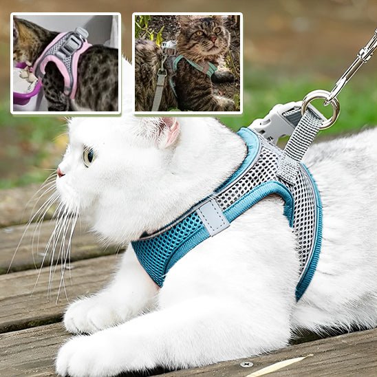 harnais_pour_chat_sécuritaire