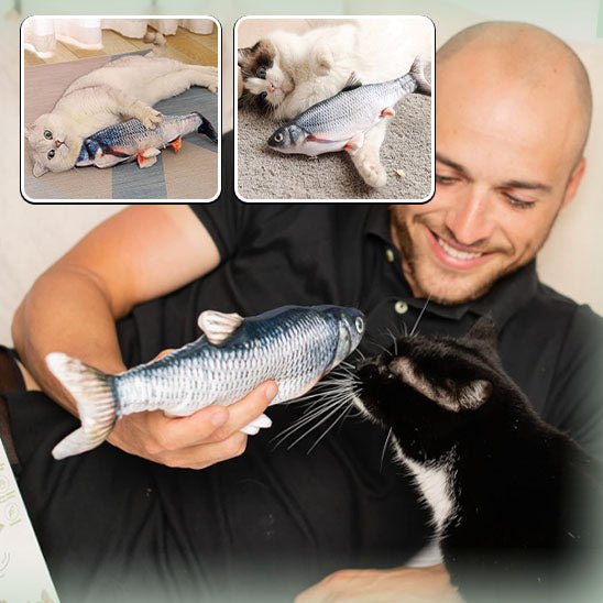 Jouet pour chat poisson FishDancerâą - Boutique Misha