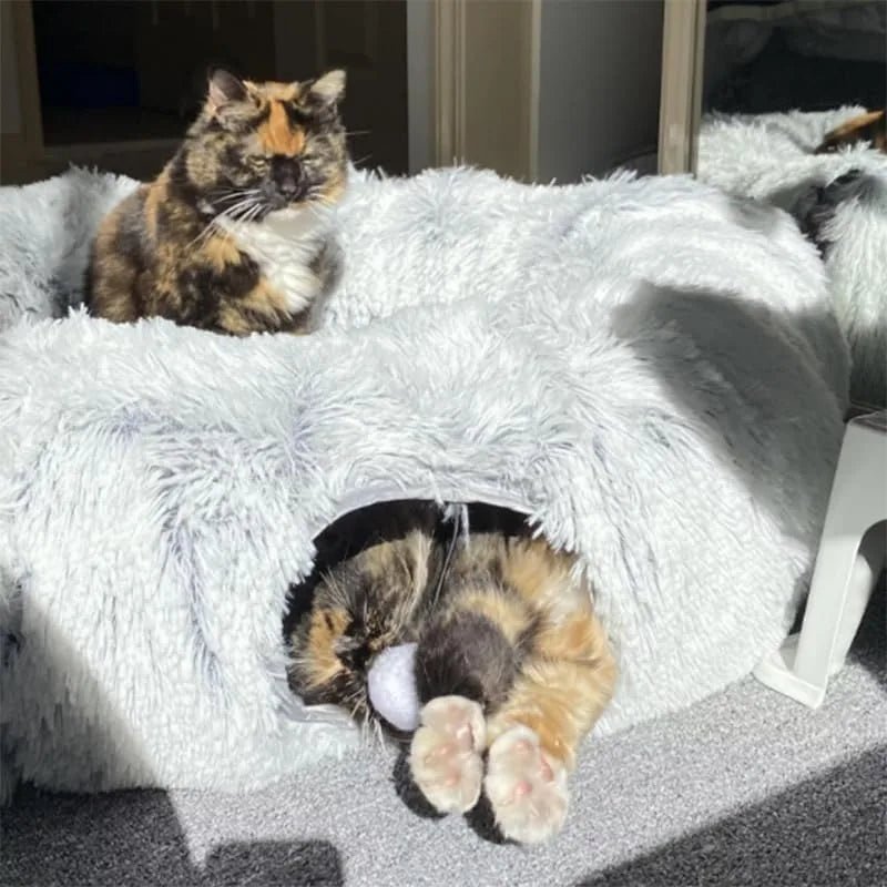 Le Tunnel pour Chat Ultime : Confort et Divertissement Garantis - Boutique Misha