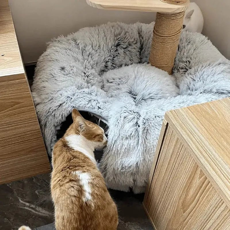 Le Tunnel pour Chat Ultime : Confort et Divertissement Garantis - Boutique Misha