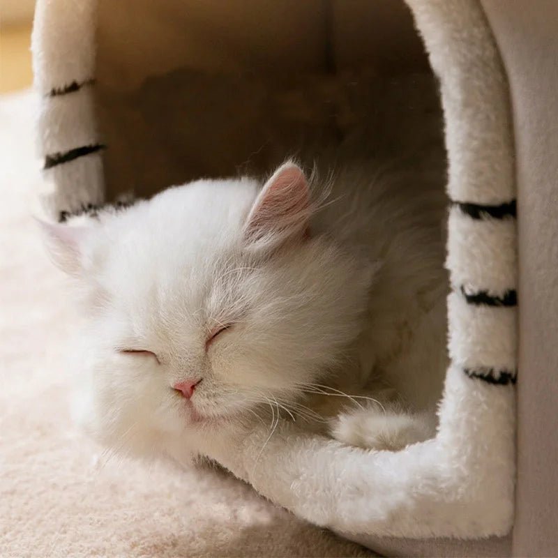 Maison pour Chat Pliable : Le Nid Douillet Parfait pour Votre Félin - Boutique Misha