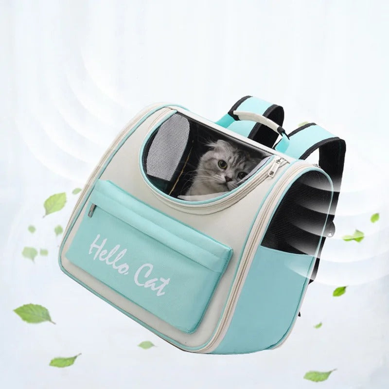 Sac à dos chat | Aventure féline