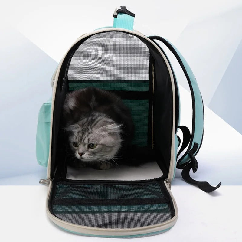 Sac à dos chat | Aventure féline