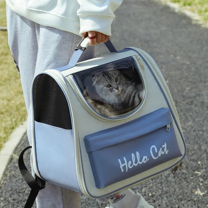 Sac à dos chat | Aventure féline