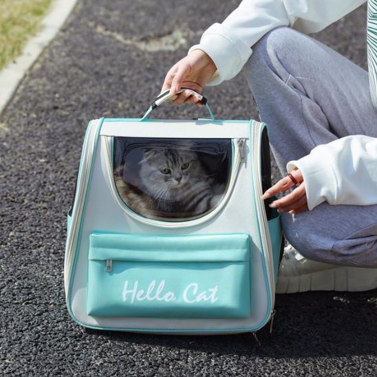 Sac à dos chat | Aventure féline