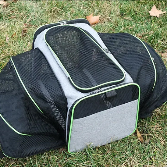 Sac de transport chat | Sécurisac
