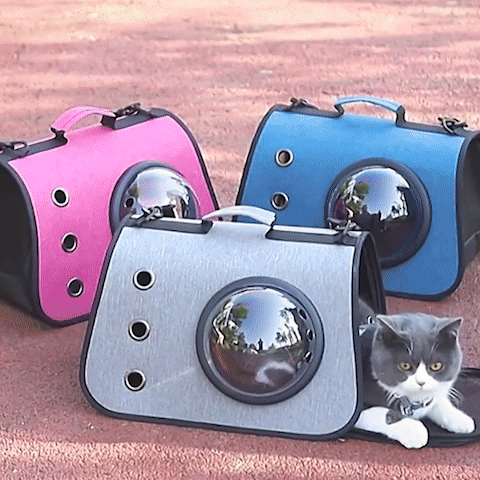 Sac de transport pour chat Sacabulle™