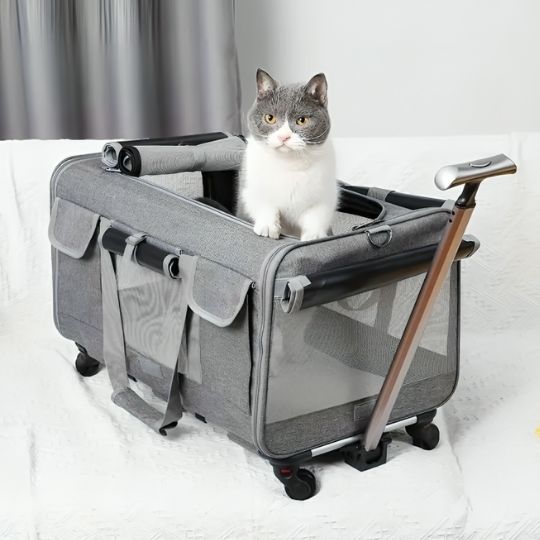 Sac de transport pour chat Robusacâą