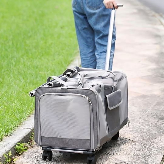Sac de transport pour chat Robusacâą