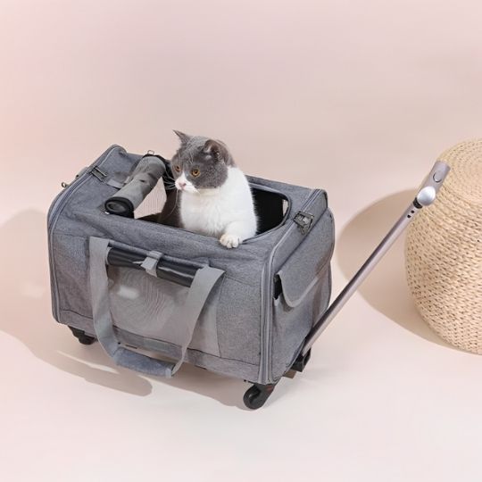 Sac de transport pour chat Robusacâą