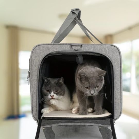 Sac de transport pour chat Robusacâą
