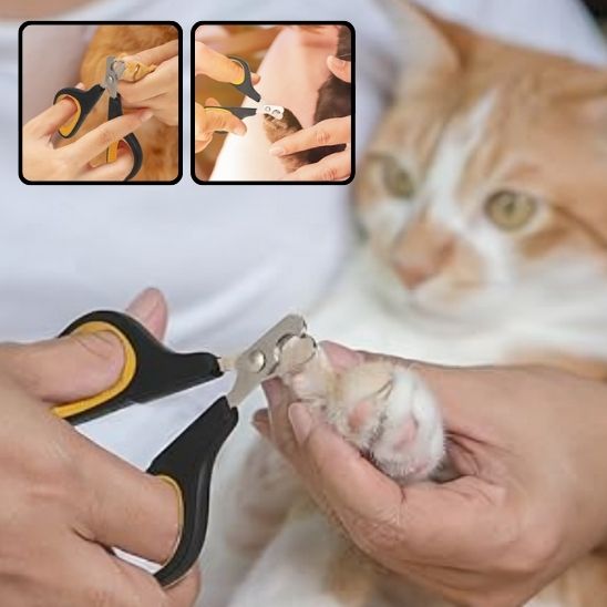 Coupe griffe pour chat
