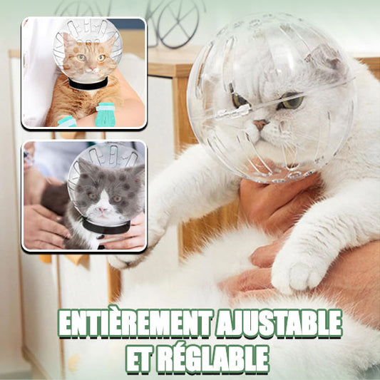 Muselière anti-morsure pour chat