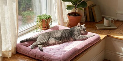 Couchage