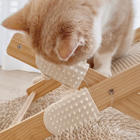 Chaton roux frottant sa joue contre deux brosses beiges à picots fixées sur un tabouret en bois