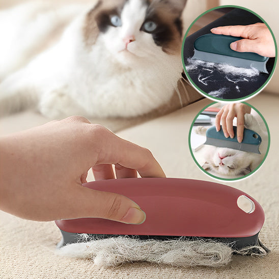 Brosse anti-poil