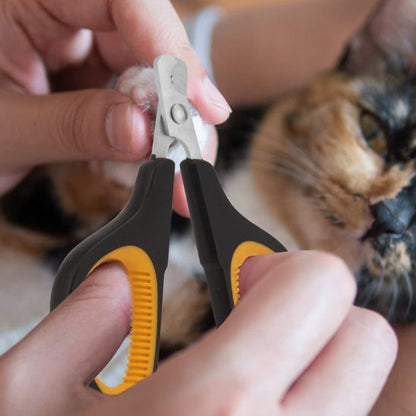 Coupe-griffe pour chat