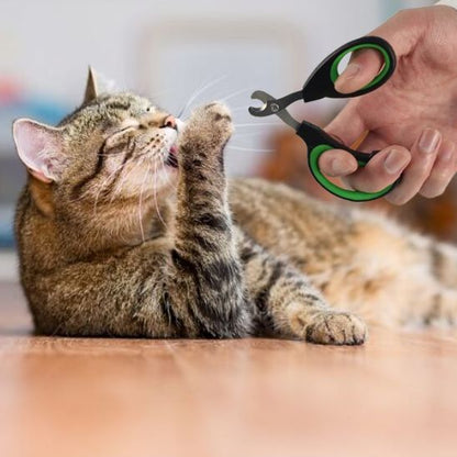 Coupe-griffe pour chat