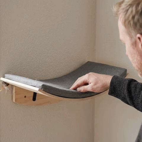 Hamac pour Chat | Confort Optimal