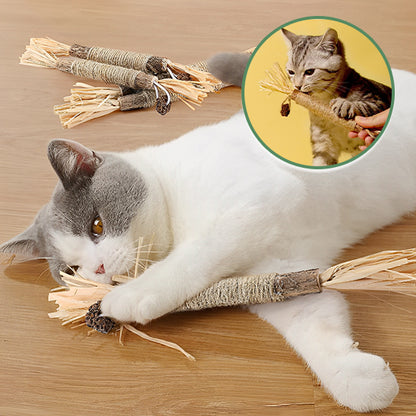 Jouet à macher pour chat