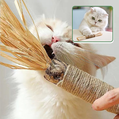 Jouet à macher pour chat
