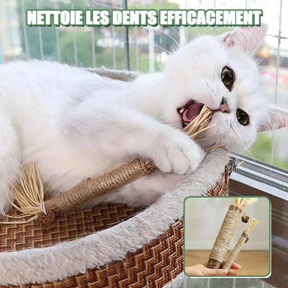 Jouet à macher pour chat