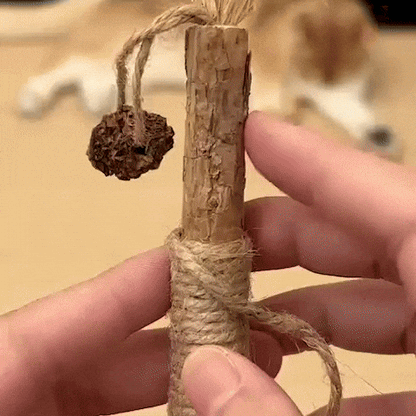 Jouet à macher pour chat
