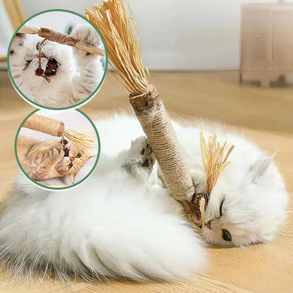 Jouet à macher pour chat