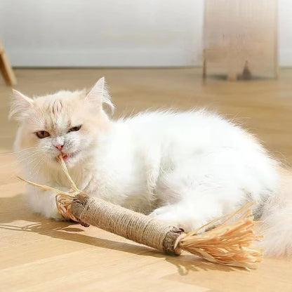 Jouet à macher pour chat