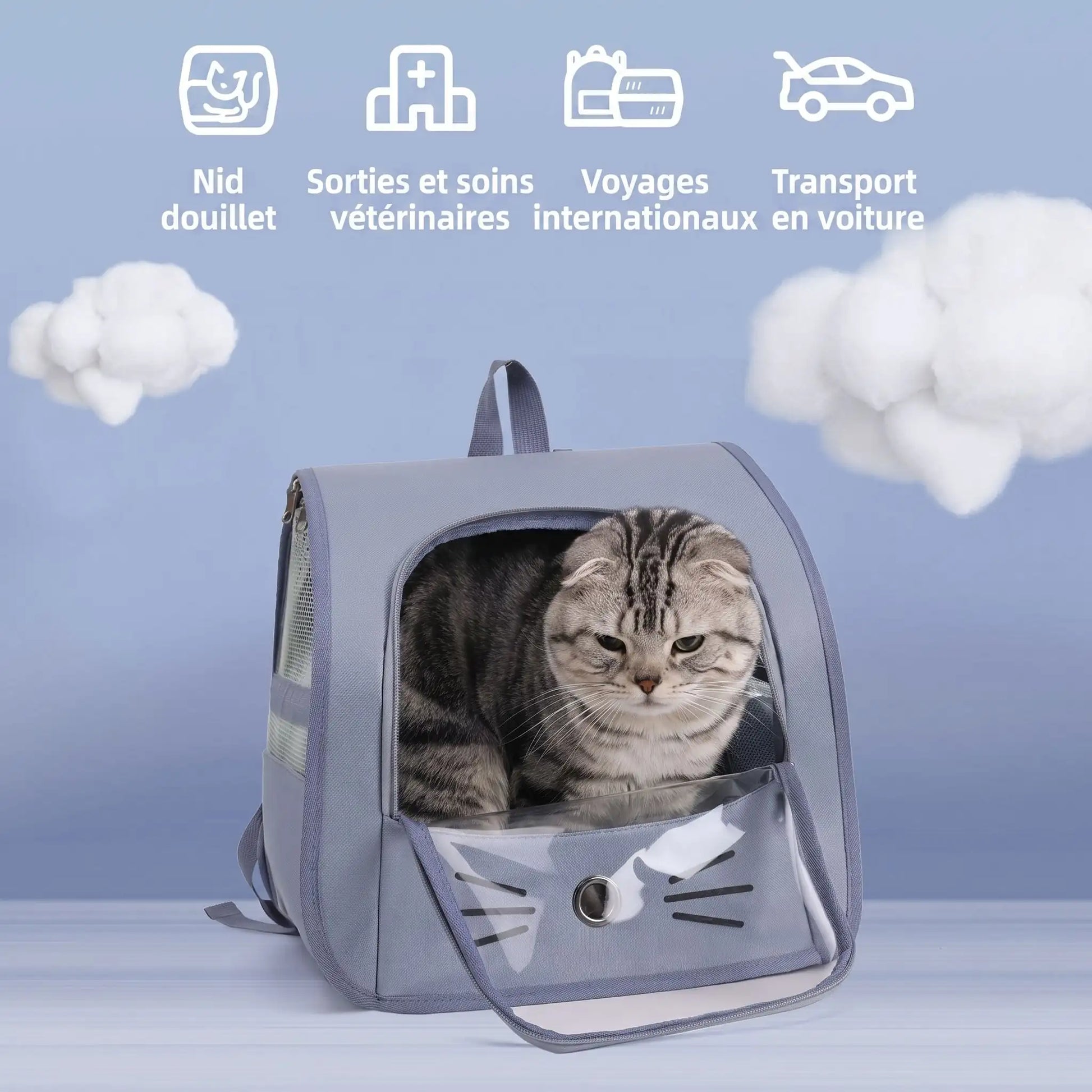 Chat dans sac à dos fenêtre panoramique – vue de face