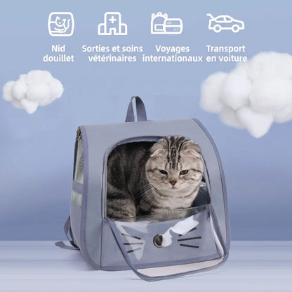 Chat dans sac à dos fenêtre panoramique – vue de face