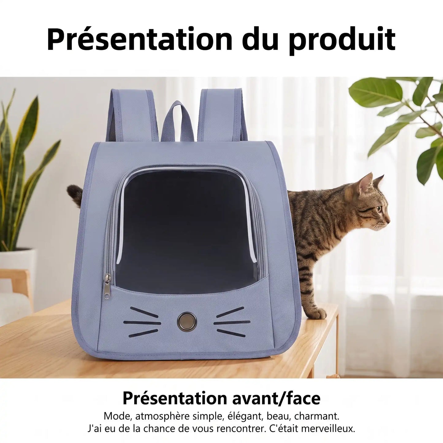Présentation du sac à dos pour chat – design félin